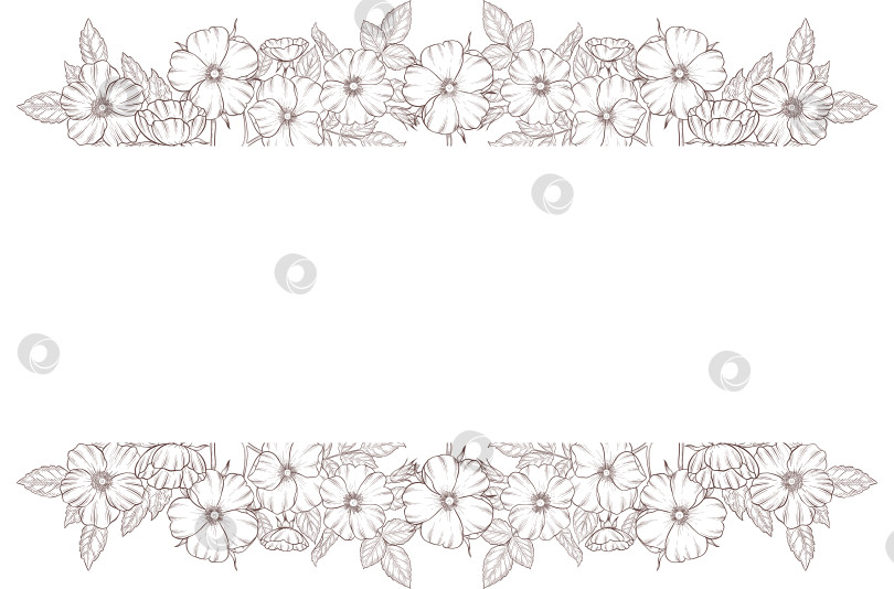 Скачать Черно-белая иллюстрация в стиле гравюры, состоящая из чайной чашки, чайника, чайных листьев, чайных пакетиков и цветов и ягод шиповника, подробная схема упаковки, социальные сети, меню фотосток Ozero