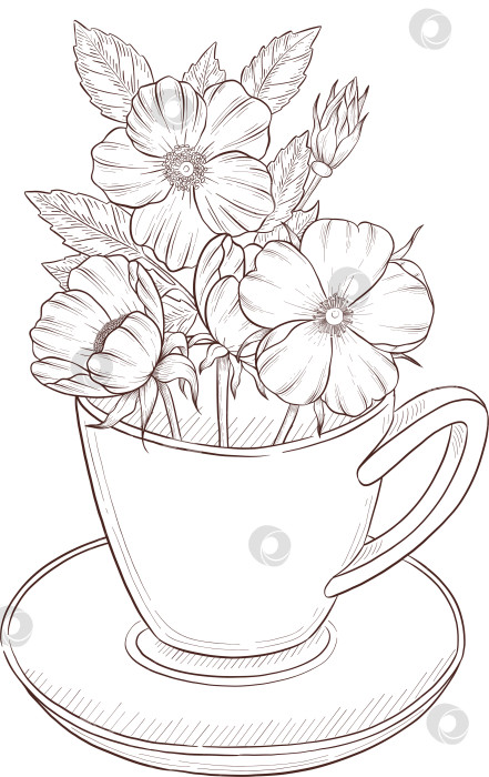 Скачать Черно-белая иллюстрация в стиле гравюры, состоящая из чайной чашки, чайного заварника, чайных листьев, чайных пакетиков и цветов и ягод шиповника, подробная схема упаковки, социальные сети, меню фотосток Ozero