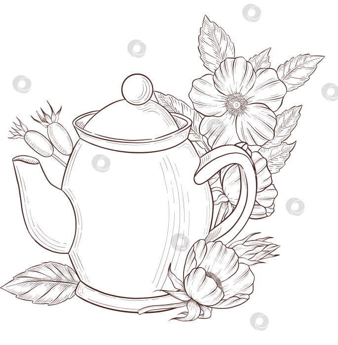 Скачать Черно-белая иллюстрация в стиле гравюры, состоящая из чайной чашки, чайника, чайных листьев, чайных пакетиков и цветов и ягод шиповника, подробная схема упаковки, социальные сети, меню фотосток Ozero