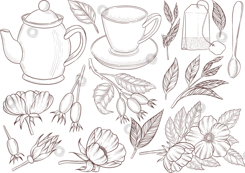 Скачать Черно-белая иллюстрация в стиле гравюры, состоящая из чайной чашки, чайника, чайных листьев, чайных пакетиков и цветов и ягод шиповника, подробная схема упаковки, социальные сети, меню фотосток Ozero