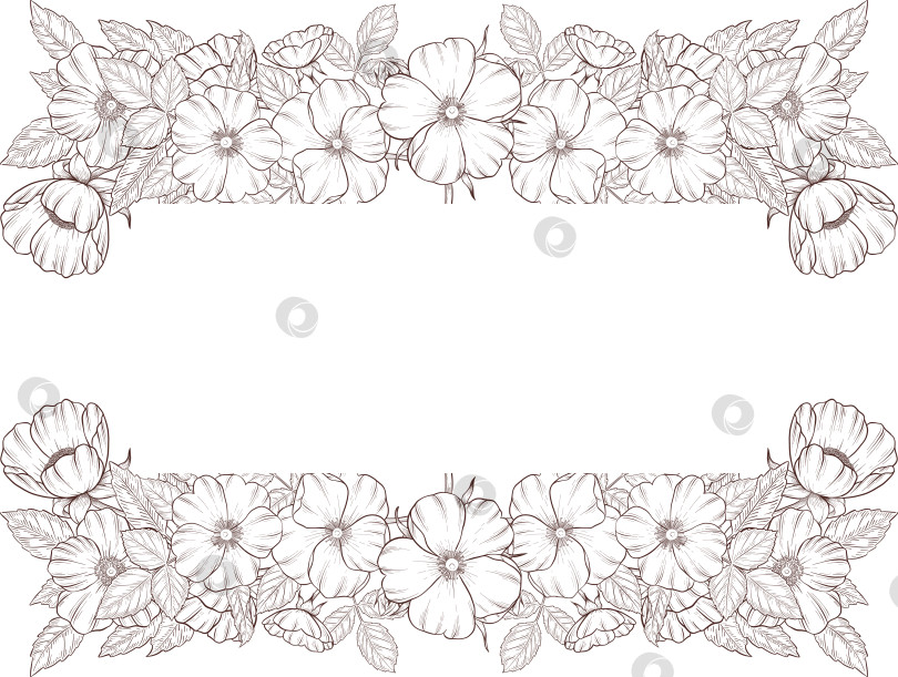 Скачать Черно-белая иллюстрация в стиле гравюры, состоящая из чайной чашки, чайника, чайных листьев, чайных пакетиков и цветов и ягод шиповника, подробная схема упаковки, социальные сети, меню фотосток Ozero