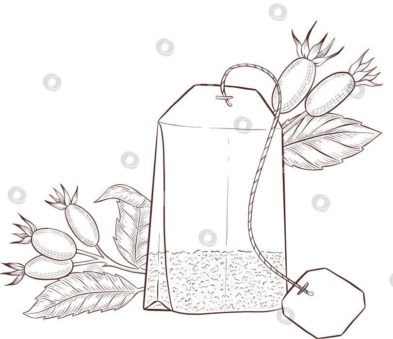 Скачать Черно-белая иллюстрация в стиле гравюры, состоящая из чайной чашки, чайника, чайных листьев, чайных пакетиков и цветов и ягод шиповника, подробная схема упаковки, социальные сети, меню фотосток Ozero