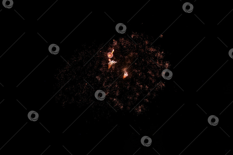 Скачать Салют фотосток Ozero