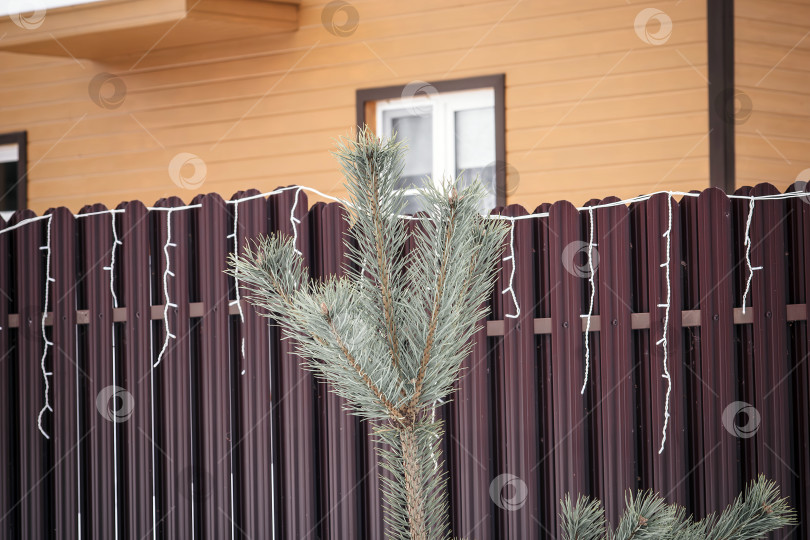 Скачать Рождественская елка у металлического забора в деревне фотосток Ozero