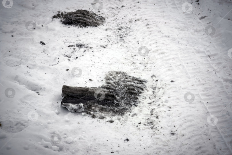 Скачать замерзшие следы на тропинке в деревне фотосток Ozero