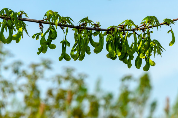 [object Object] undefined