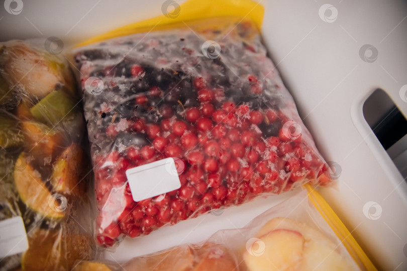 Скачать Фрукты и ягоды упаковывают в полиэтиленовые пакеты и хранят в морозильной камере. Свежие и полезные продукты в любое время года. фотосток Ozero