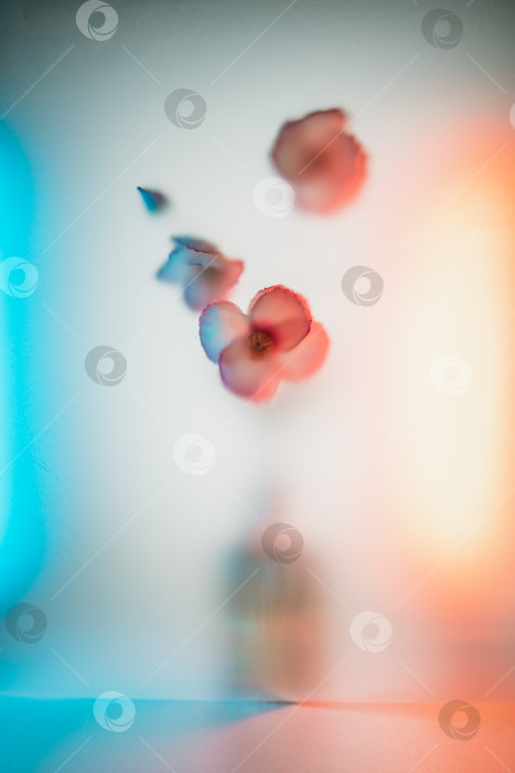 Скачать Красивые цветы с мягкими лепестками, выступающими на размытом фоне, демонстрируют нежную текстуру и создают безмятежную, абстрактную, художественную композицию с мечтательным, неземным сиянием. фотосток Ozero