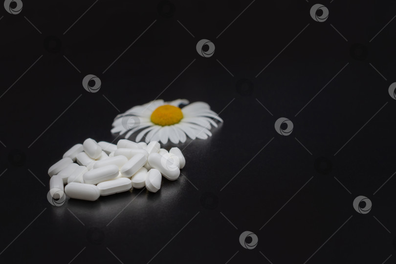 Скачать Таблетки и ромашка на черном столе фотосток Ozero