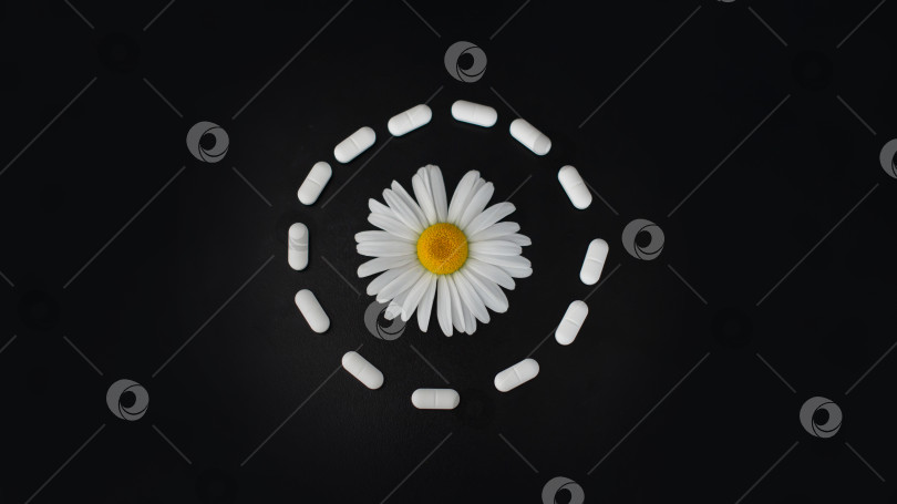 Скачать Таблетки и ромашка на черном столе фотосток Ozero