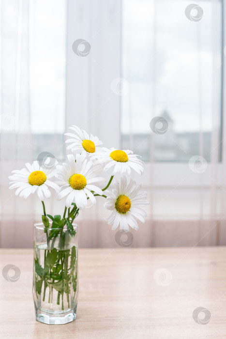 Скачать Ваза с маргаритками на деревянном столе фотосток Ozero