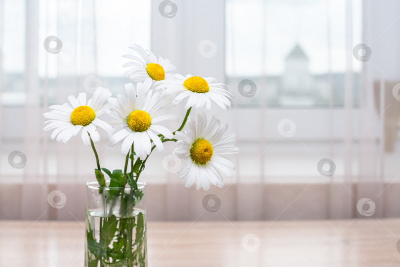 Скачать Ваза с маргаритками на деревянном столе фотосток Ozero