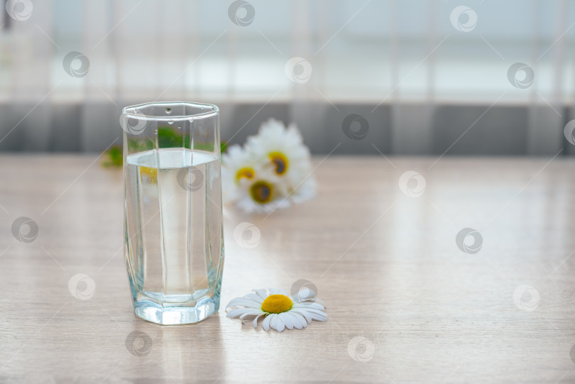 Скачать Стакан воды и ромашка на деревянном столе фотосток Ozero