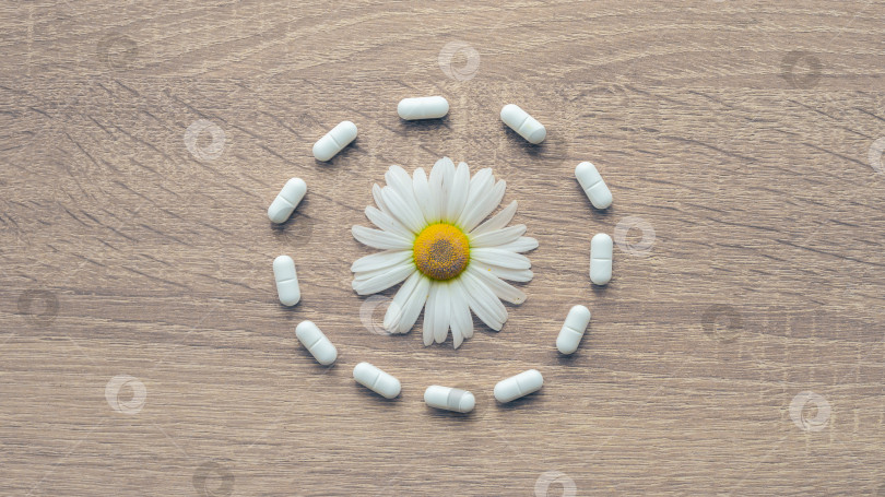 Скачать Таблетки и ромашка на деревянной поверхности фотосток Ozero