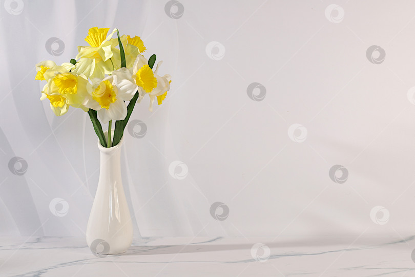 Скачать Абстрактная весенняя цветочная композиция, натюрморт с красивыми цветущими нарциссами и баннер с местом для текста. Открытка ко Дню матери, Международному женскому дню, дням рождения, свадьбам, фотосток Ozero