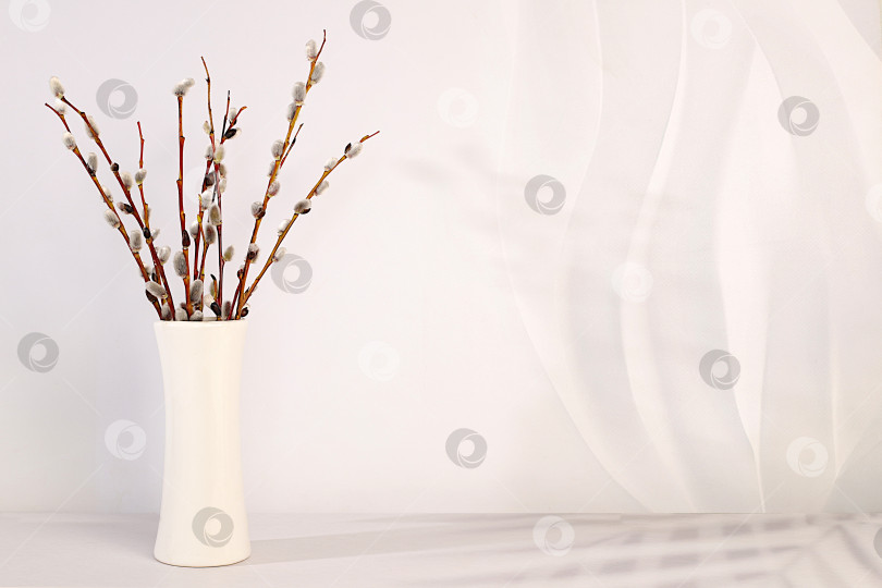 Скачать Изящные веточки ивы в вазе на элегантном кухонном столе, абстрактная весенняя цветочная композиция.Пасхальная открытка и натюрморт, минималистская концепция праздника и праздничный пасхальный баннер,дизайн домашнего интерьера фотосток Ozero