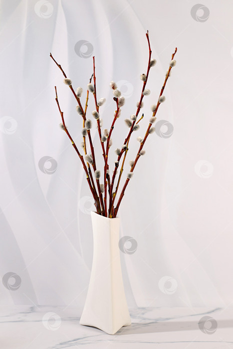 Скачать Изящные ветки ивы в вазе на элегантном кухонном столе, абстрактная весенняя цветочная композиция.Пасхальная открытка и натюрморт, минималистская концепция праздника и праздничный пасхальный баннер,дизайн домашнего интерьера фотосток Ozero