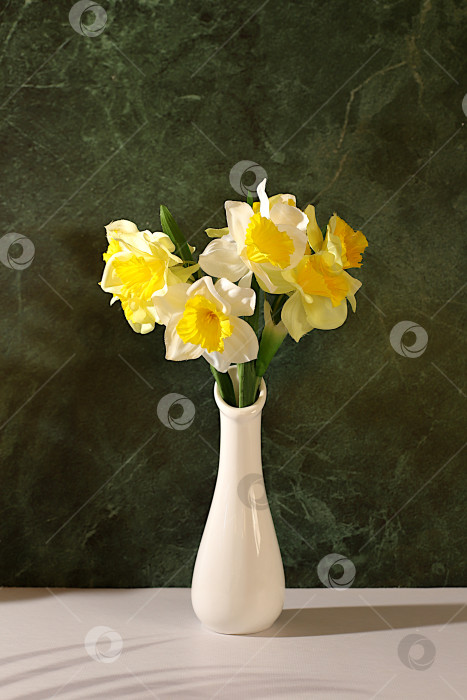 Скачать Абстрактная весенняя цветочная композиция, натюрморт с красивыми цветущими нарциссами и баннер с местом для текста. Открытка ко Дню матери, Международному женскому дню, дням рождения, свадьбам, фотосток Ozero