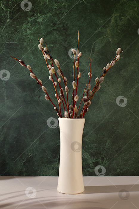 Скачать Изящные веточки ивы в вазе на элегантном кухонном столе, абстрактная весенняя цветочная композиция.Пасхальная открытка и натюрморт, минималистская концепция праздника и праздничный пасхальный баннер,дизайн домашнего интерьера фотосток Ozero