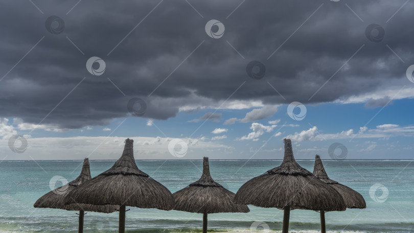 Скачать Ряд соломенных зонтиков на пляже у моря. фотосток Ozero