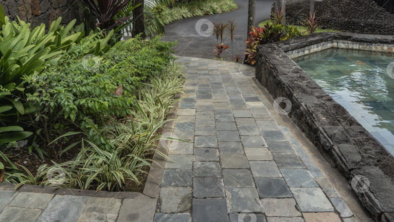 Скачать Ландшафтный дизайн. Мощеная пешеходная дорожка в парке у бассейна. фотосток Ozero