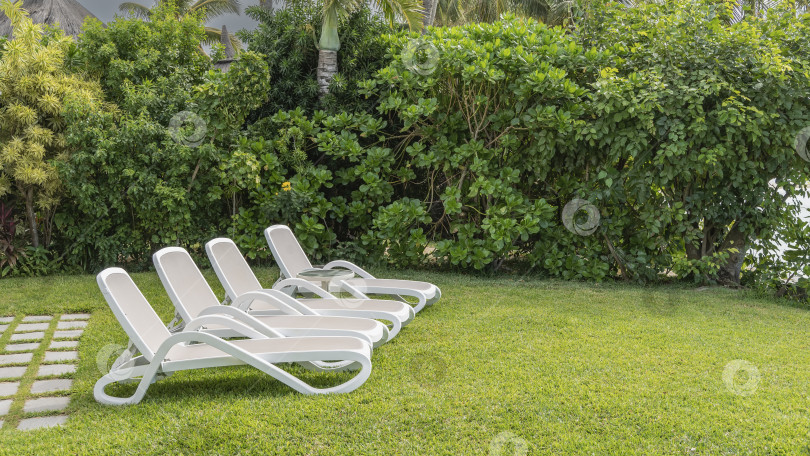 Скачать Ряд белых пластиковых шезлонгов на зеленой лужайке. фотосток Ozero