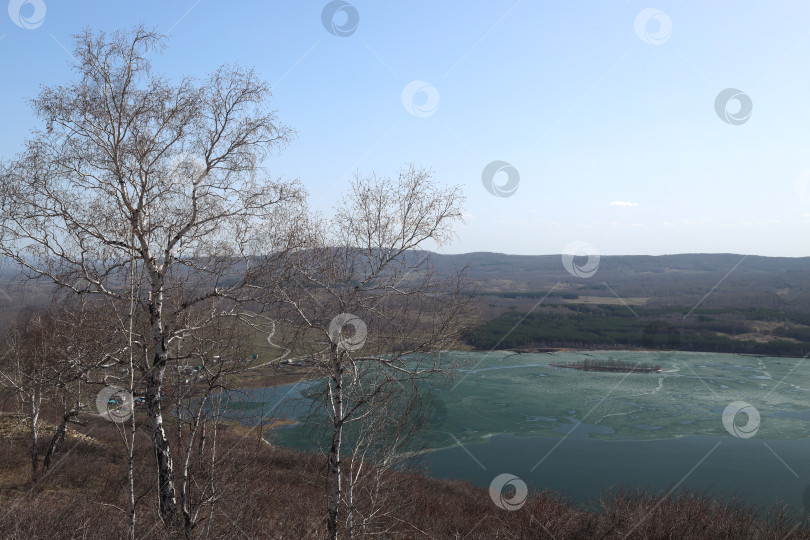 Скачать весенний пейзаж - березы без листьев, озеро с остатками льда, хвойный лес и холмы фотосток Ozero