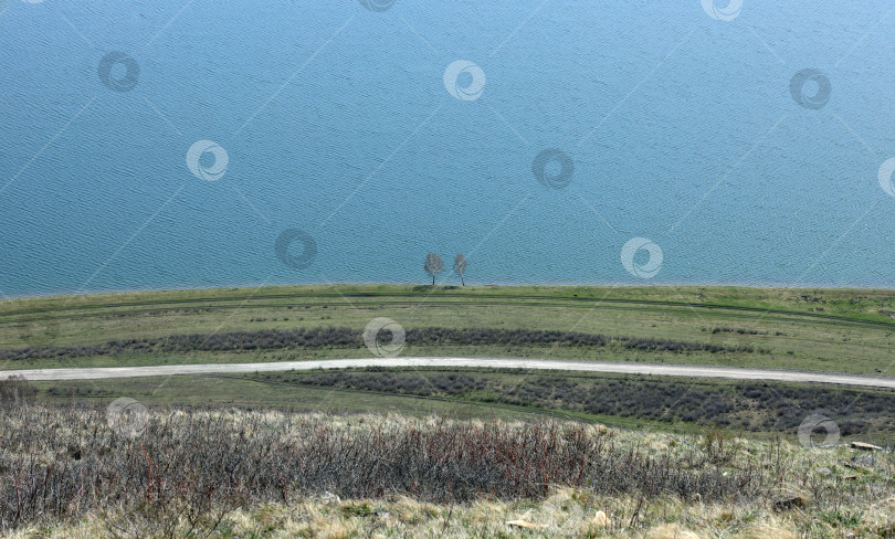 Скачать две березы на берегу голубого озера и дорога, идущая вдоль пруда фотосток Ozero