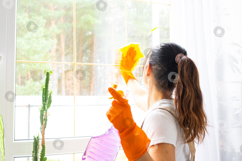 Скачать Молодая брюнетка моет окно в перчатках и фартуке, уборка дома, растение в горшке на окне, кухня, яркий интерьер, продвижение клининговой компании, уход за стеклом фотосток Ozero
