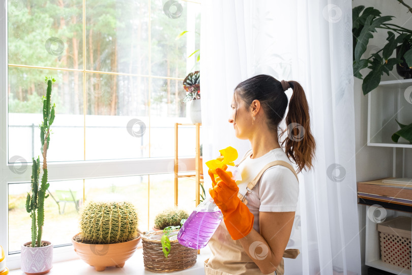 Скачать Измученная домохозяйка и грязные окна, домашняя рутина, перчатки, усталость от уборки, грустные эмоции, интерьер с растениями, требуется помощь клинингового бизнеса фотосток Ozero