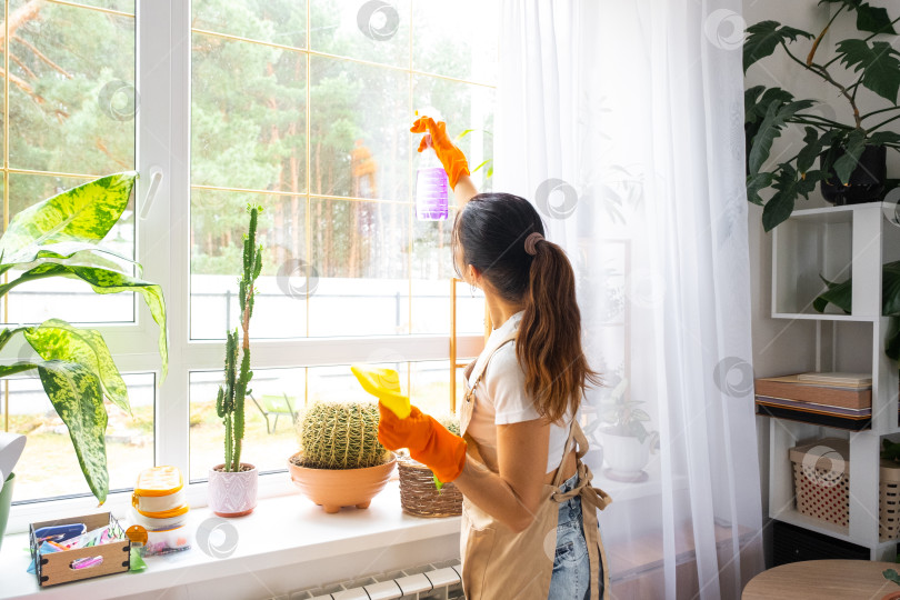 Скачать Молодая женщина моет окно, оранжевые перчатки, услуга в сфере уборки, современная квартира, чистящий спрей, коммерческое предложение, процедура мытья стекол фотосток Ozero