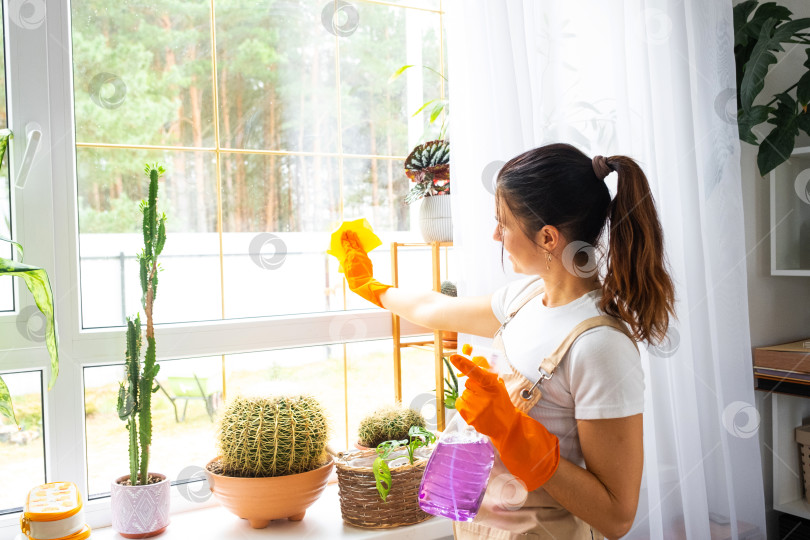 Скачать Перегруженная чистящими средствами женщина, уборка окон, переутомление, фартук, усталое лицо, домашние растения, яркий свет, звонок в клининговую компанию, рекламный ролик фотосток Ozero