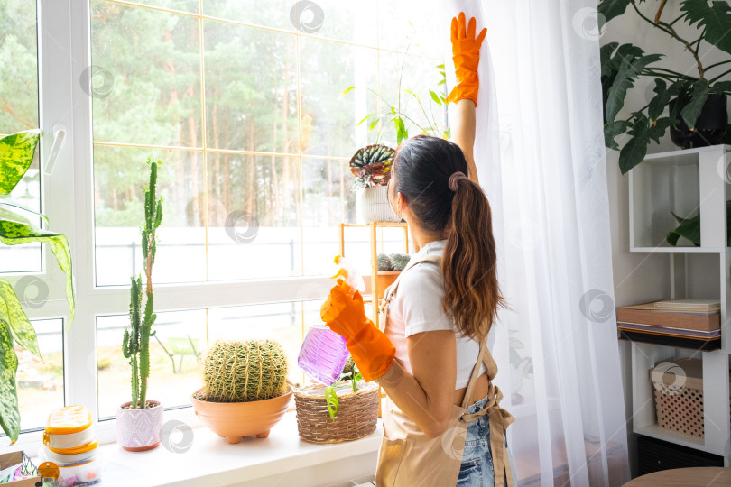 Скачать Женщина, моющая окна, домашняя рутина, весенняя уборка, клининговый бизнес, фартук, перчатки, яркий домашний интерьер, реклама клининговой компании, уход за стеклом фотосток Ozero