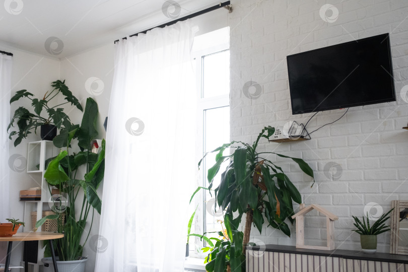 Скачать Солнечный интерьер кухни, белая плитка, большое окно, зелень в горшках, четкие линии, естественный дневной свет, минимализм, использование в портфолио home inspiration фотосток Ozero