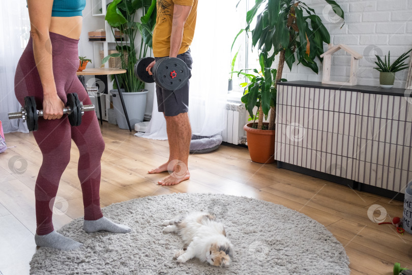 Скачать Подтянутые женщина и мужчина в спортивных костюмах, тренирующиеся вместе дома, домашняя кошка, отдыхающая на ковре, поддерживающее партнерство, современная жизнь, активный домашний фитнес. фотосток Ozero