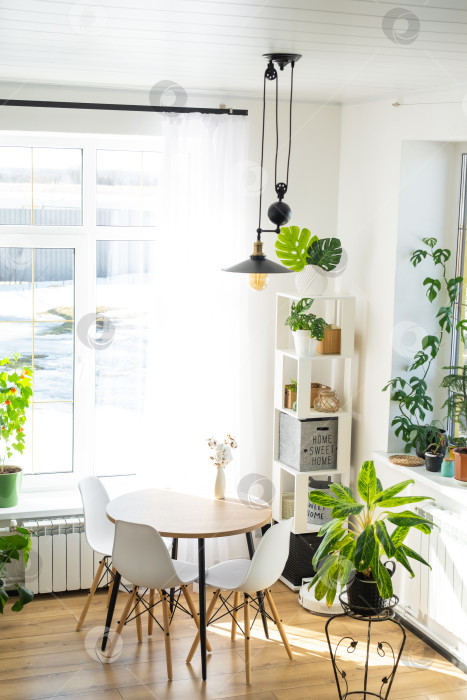 Скачать Круглый стол, два стула, растения в горшках, большие окна, легкий минимализм, свежий вид, легкая элегантность, реклама городской квартиры, мягкие занавески, чистая фурнитура фотосток Ozero