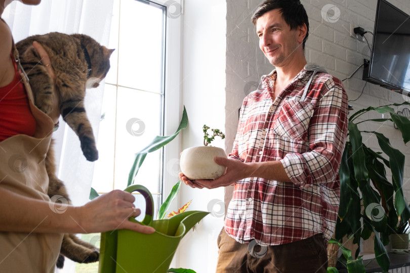 Скачать Мужчина и женщина с лейкой, наполненный светом дом, игривая пара и домашний кот, ухаживающие за комнатными растениями, экологичный образ жизни и радостное общение. фотосток Ozero