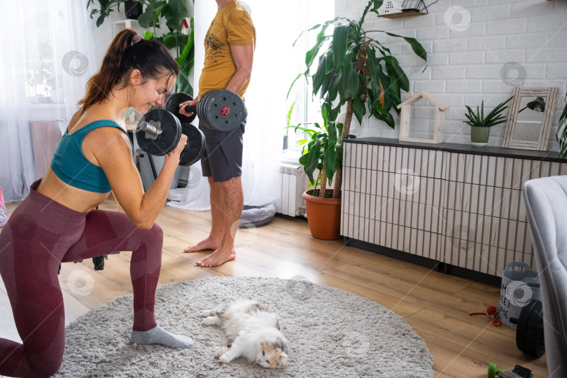 Скачать Улыбающаяся пара, тренирующаяся с гантелями дома, игривый кот возле коврика, активный семейный образ жизни, фитнес, уютная квартира, отношения с домашними животными. фотосток Ozero