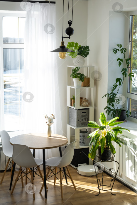 Скачать Обеденная зона с растениями, дневной свет, большие окна, естественное освещение, минимализм, спокойствие, зелень в горшках, нейтральные цвета, дизайнерская отделка, объявления о недвижимости фотосток Ozero