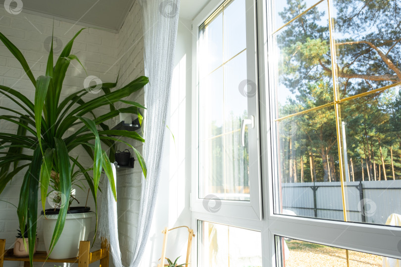 Скачать Широкое окно с растениями, стиль солнечного утра, светлая комната, эко-дом, экологичный образ жизни, детали оконной фурнитуры, материалы для интернет-журналов, реклама фотосток Ozero