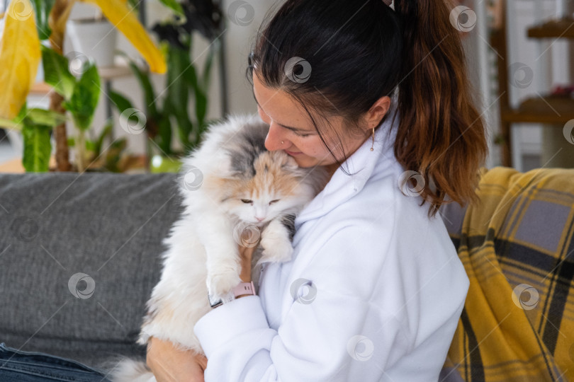 Скачать Женщина обнимает шотландскую вислоухую кошку, темы ухода за домашними животными и домашнего уюта, эмоциональная связь, момент нежности и любви, домашнее животное в уютном доме фотосток Ozero