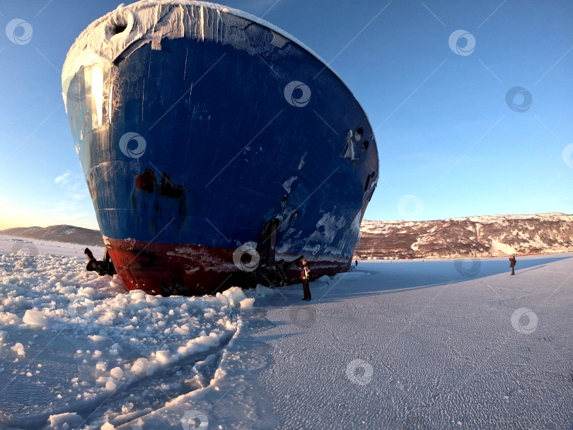 Скачать Судно стоящее у кромки ледяного поля в бухте Нагаева. Зимняя навигация на севере - суровое испытание для моряков, проводки судов с ледоколом, частые шторма в этой части океана в это время года_ фотосток Ozero
