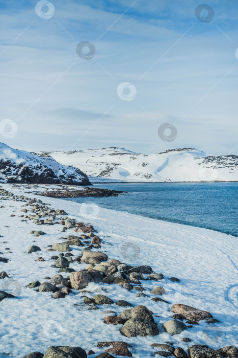 Скачать Побережье Баренцева моря фотосток Ozero