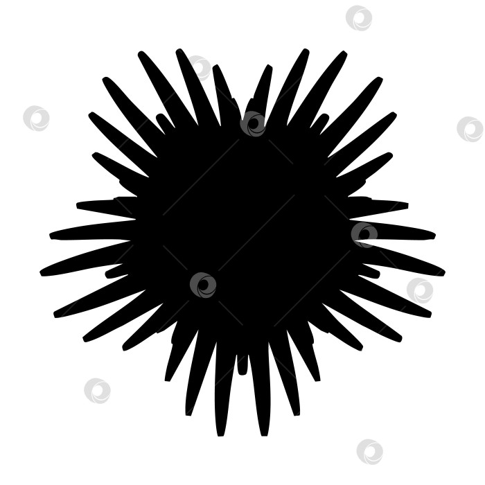 Скачать Черное пятно. Силуэт цветка с лепестками. Головка дикого цветка необычной формы. Изолированный фотосток Ozero