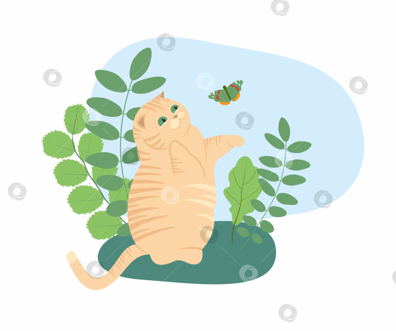 Скачать Милые кошки. Векторная иллюстрация забавных толстых кошек фотосток Ozero