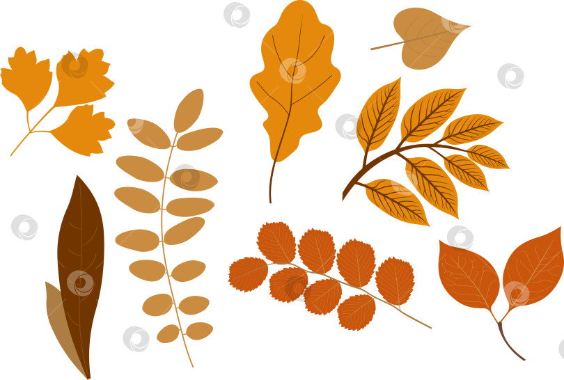 Скачать Осенние желтые листья фотосток Ozero