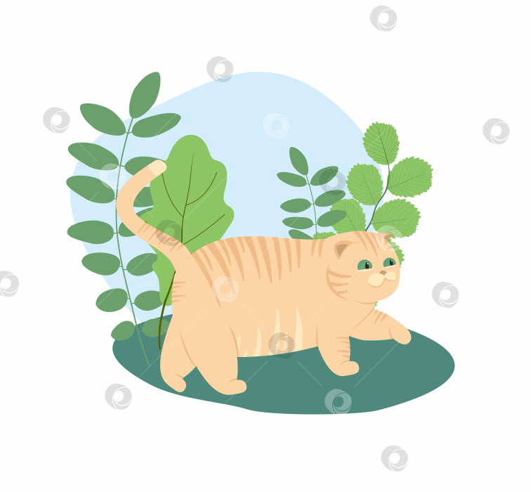 Скачать Милые кошки. Векторная иллюстрация забавных толстых кошек фотосток Ozero