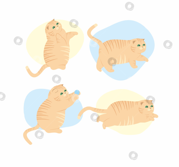 Скачать Милые кошки. Векторная иллюстрация забавных толстых кошек фотосток Ozero