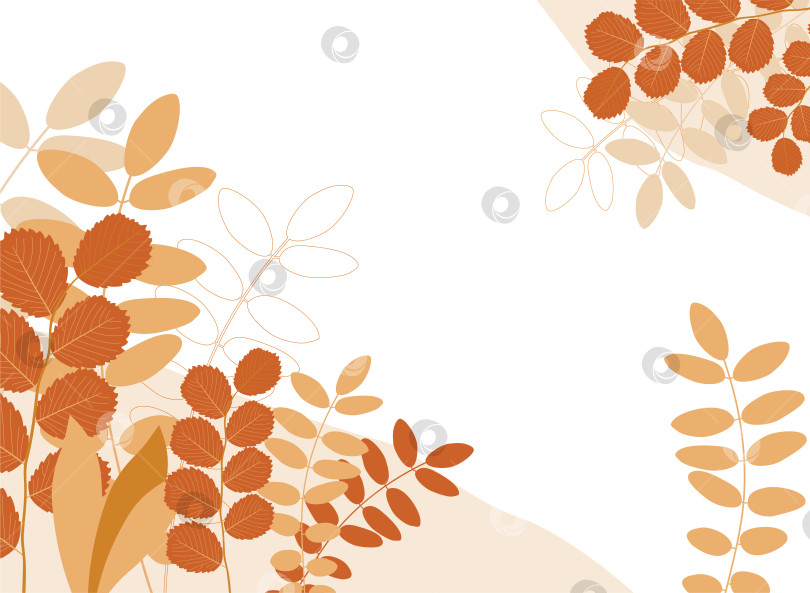 Скачать Фон из осенних листьев. Фон из растений фотосток Ozero
