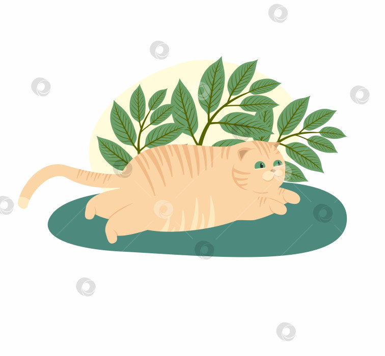 Скачать Милые кошки. Векторная иллюстрация забавных толстых кошек фотосток Ozero